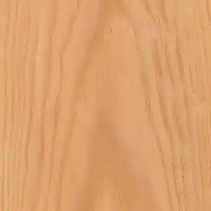 Pino Gallego (Rameado)